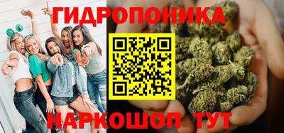 стафф Нальчик