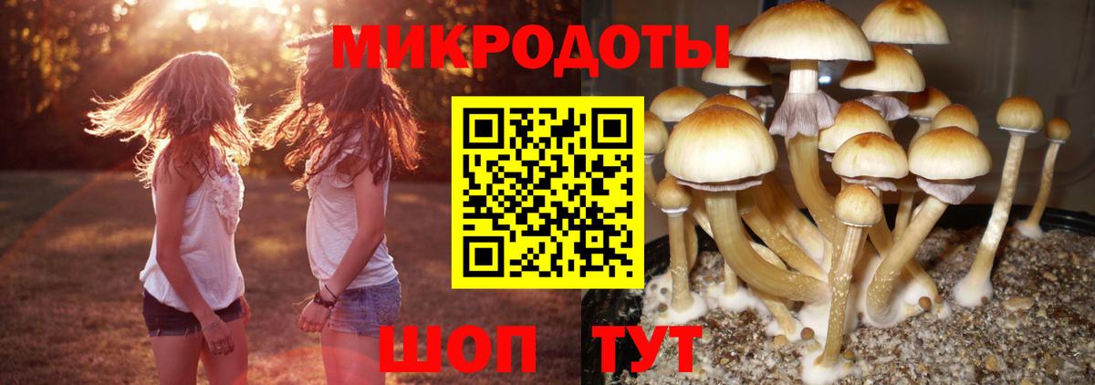 Псилоцибиновые грибы MAGIC MUSHROOMS Гусиноозёрск