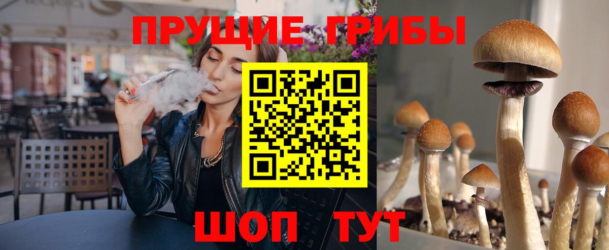 Гусиноозёрск  Галлюциногенные грибы MAGIC MUSHROOMS  Вход с VPN 